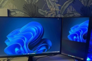 ˫�������ֽ����