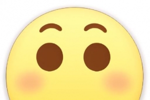 �ٷ������廭