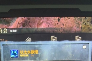 �����µĹ�ע������