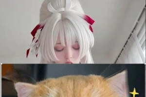 ��ԭͼ���ɻ�