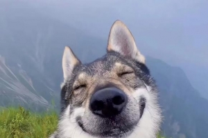 ������յ��������������Ʒ  ����(? ??_??)?