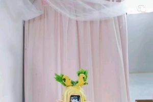 ��COS��Ƭ��cos���Ѿ�