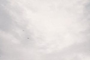 �ֻ���ֽ����