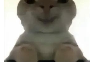 ��������Ż����������������Ӱ㾭��ϵͳ��һ�����