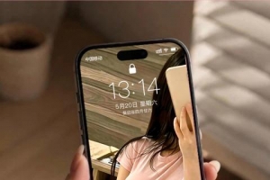 �����ֽ�������