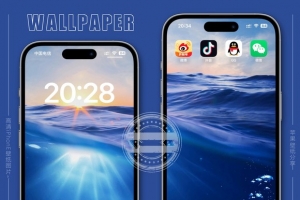 ��ֽ��������