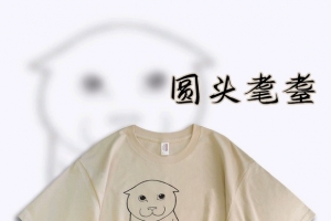 ����COS��ȱɶ��