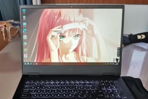 žֽҰ