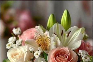 ֻ�����ʣ���μ���Ҫ��ɵĸĶ�������˭�ĵ��⣿