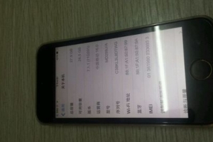 ��һ����ƻ��5