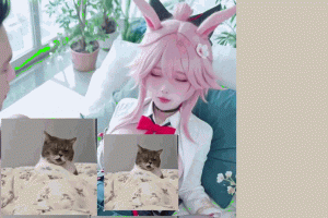 ����˭û�����ͼ�����ˡ�