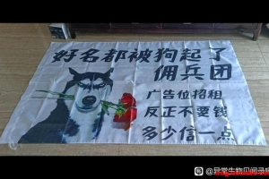 Ӷ���������С�