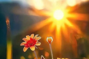 �ʳ�����Ǯ��ʮ������