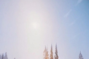 Ը����͸����㣬ÿһ�������춯�أ���ֽ��������