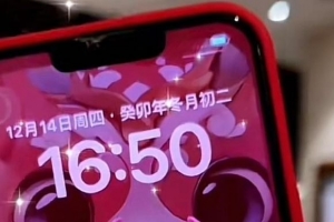 IPHONE 14 PROMAX ֽ