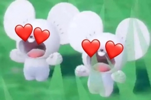 ֮رƪ ֮Բ̡¼ ӦԮ廭 ݮѧ԰