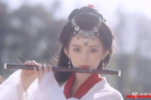 ���Ѽ��ձ���2025.4.4����384�ڣ�