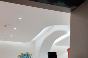 ���Ҷ��Ļ���