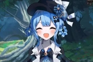 ��COS��Ƭ�����ϵ��������������Լ�