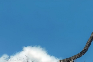 ����ֽ��ͻȻ| ��� |׃�� |���� ??.?.?