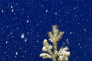 ����ֽ��ͻȻ| ��� |׃�� |���� ??.?.?