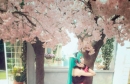 ��COS��Ƭ��Cn��������LIB-Naon�� ��ɫ������miku�����miku