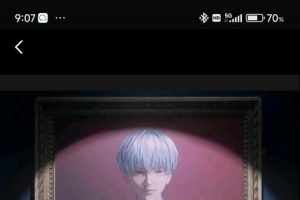 ���ܽ������ֽ