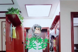 ��COS��Ƭ�������ĵ���cos�������ⷢ��