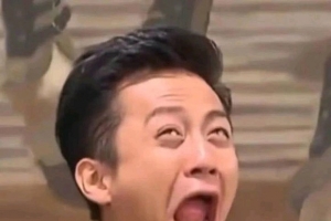 ?ʺһ���Ľ�����