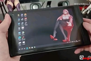 �����ֽ��ʲô����