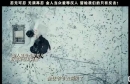 �������弸ǧ���ĥ�Ѻ���̣��Ϊʲô���Ļ���û�б�����������