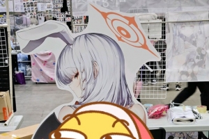 ֮ǰLSPҪĺչѧƳ