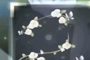 ��������������ʲô