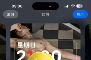 �����ֽ��