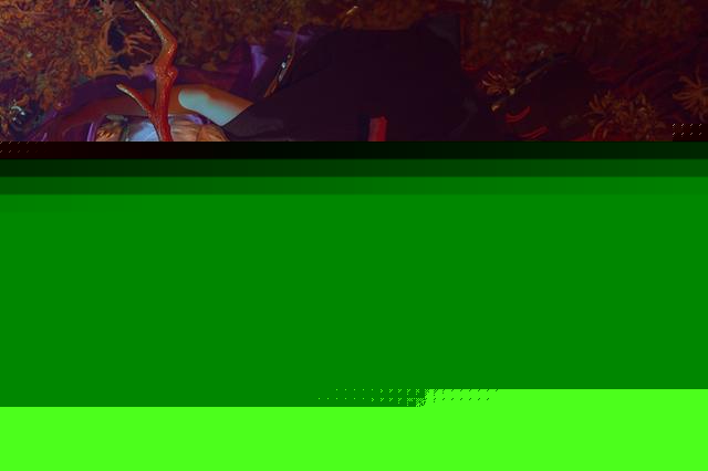 KyO7CBUZRMRPurhr.jpg