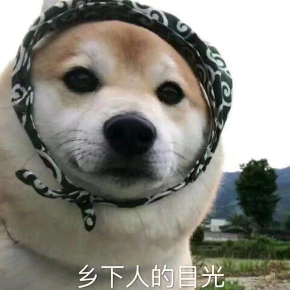 R9x9jPphLyIX9h9P.jpg