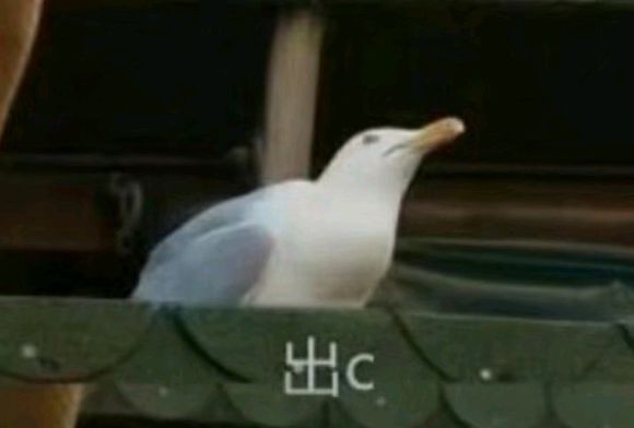 XzX2YF5yY51K80Mc.jpg