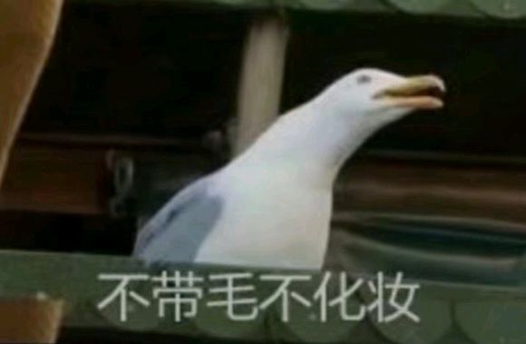 eB4n1j2wn22bWC5u.jpg