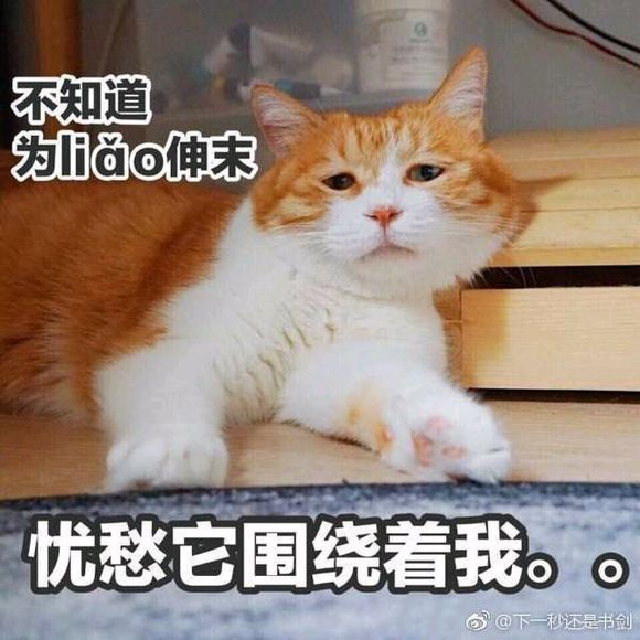 wlge98757S49R9B7.jpg