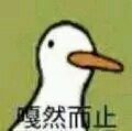 v0kKyHKzgDwFxkwL.jpg