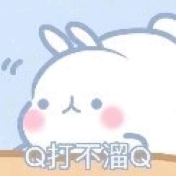 E5kO95JBg4kO2Vq5.jpg