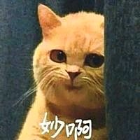 OHDLw5p5s7kbxLpN.jpg