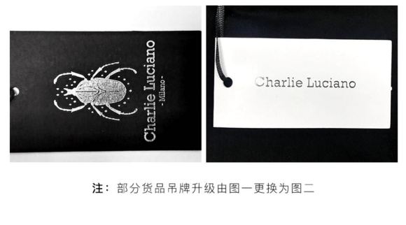Charlie LucianoǧǧѰ廭CLsize-3.jpg