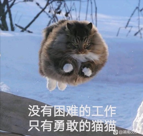 չƱ-1.jpg