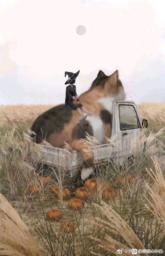 Ͷ硭廭ʦӵ!-3.jpg