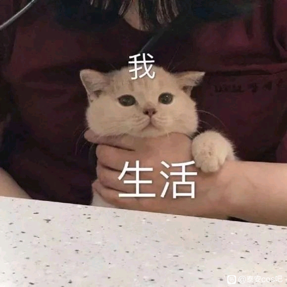 Ԫչ顿-1.jpg