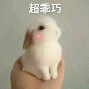 кýô-1.jpg