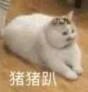 ϺչһܸϢd2Ʊ,˺ȥcp-1.jpg