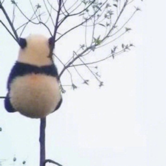 Сһö,аæһǷ!ͼ廭õ-1.jpg