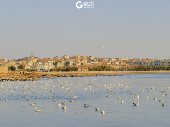 ͯ廭!Ϧൺջź-6.jpg